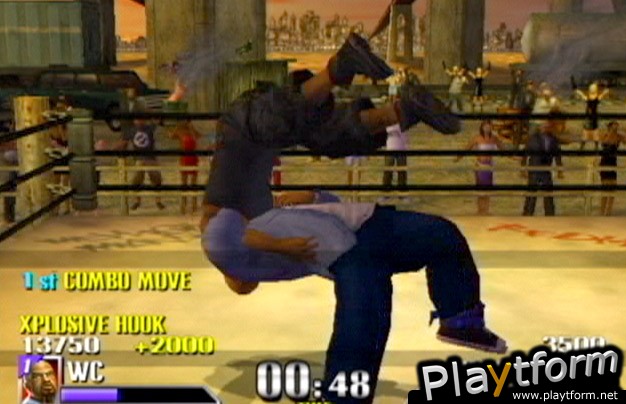 Def Jam Vendetta (GameCube)