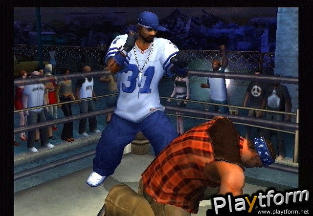 Def Jam Vendetta (GameCube)