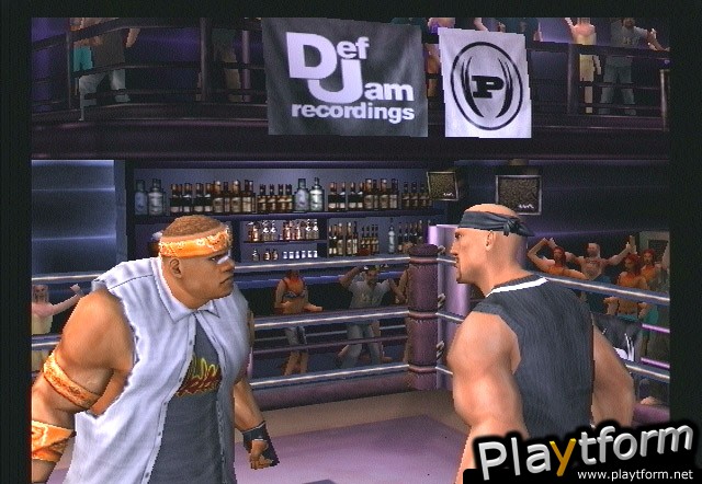 Def Jam Vendetta (GameCube)