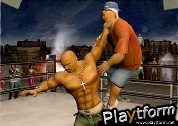 Def Jam Vendetta (GameCube)