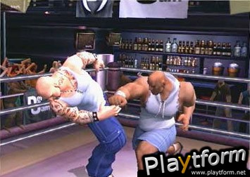 Def Jam Vendetta (GameCube)