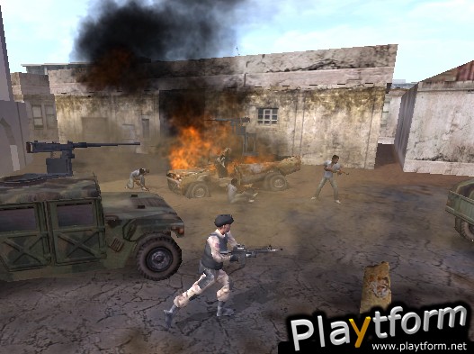 Delta Force: Black Hawk Down (PC)