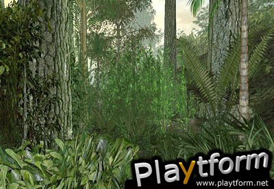 Line of Sight: Vietnam (PC)