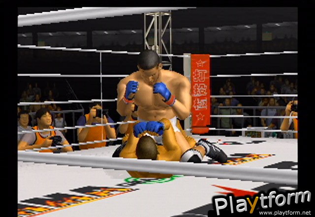 Pride FC (PlayStation 2)