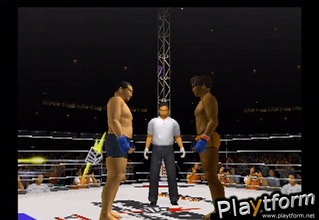 Pride FC (PlayStation 2)