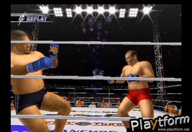 Pride FC (PlayStation 2)