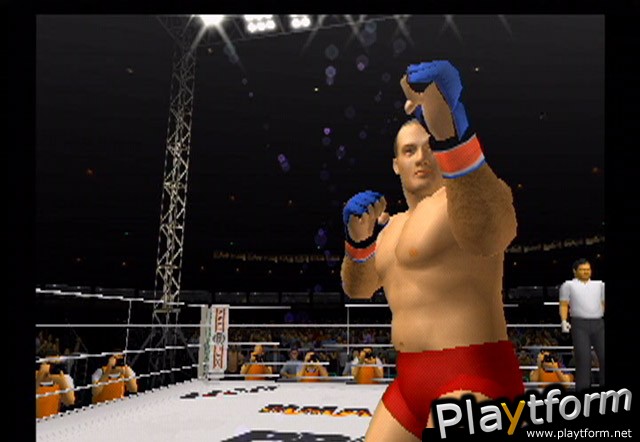 Pride FC (PlayStation 2)