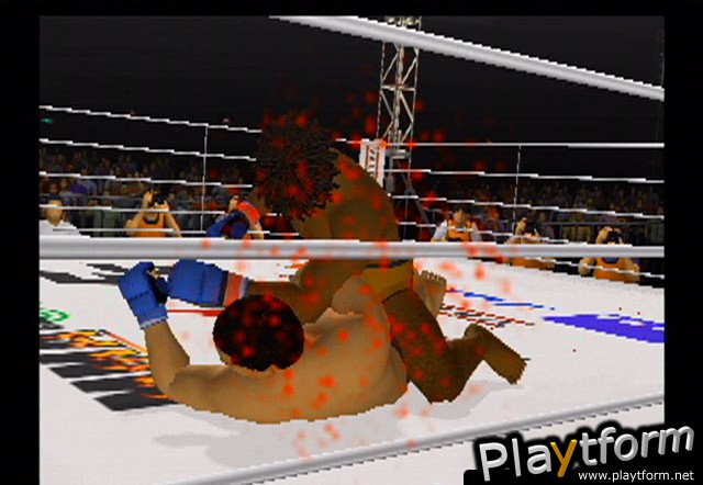 Pride FC (PlayStation 2)