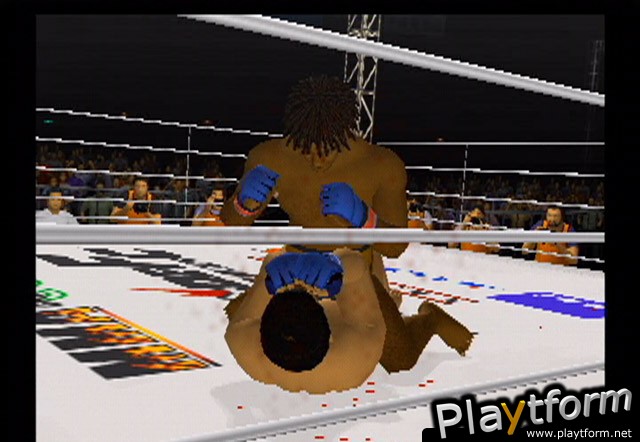 Pride FC (PlayStation 2)