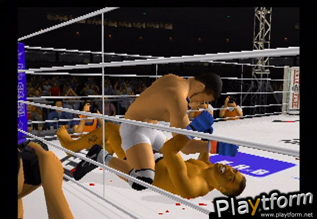 Pride FC (PlayStation 2)