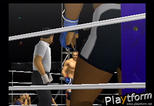 Pride FC (PlayStation 2)