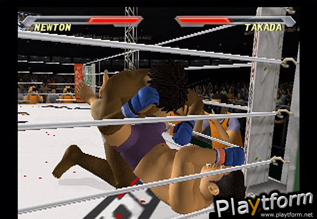 Pride FC (PlayStation 2)