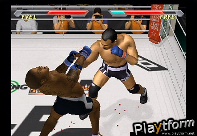 Pride FC (PlayStation 2)