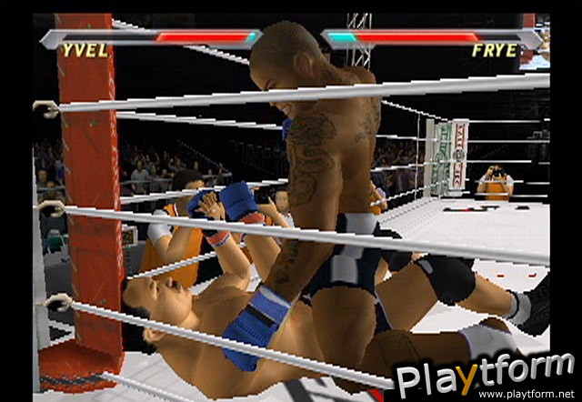 Pride FC (PlayStation 2)