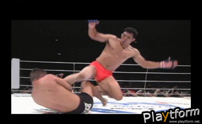 Pride FC (PlayStation 2)