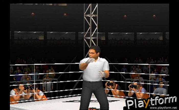 Pride FC (PlayStation 2)