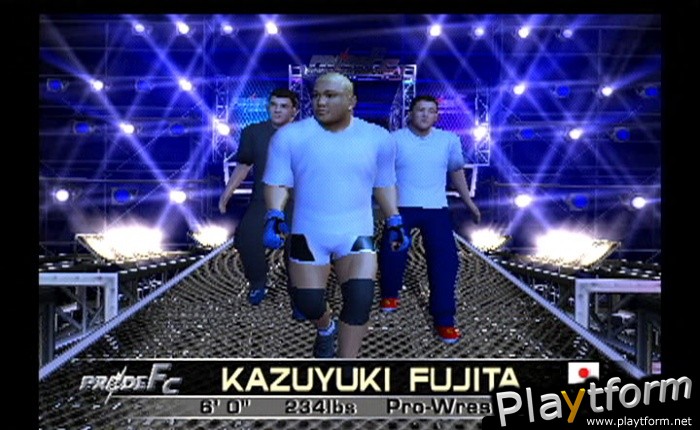 Pride FC (PlayStation 2)