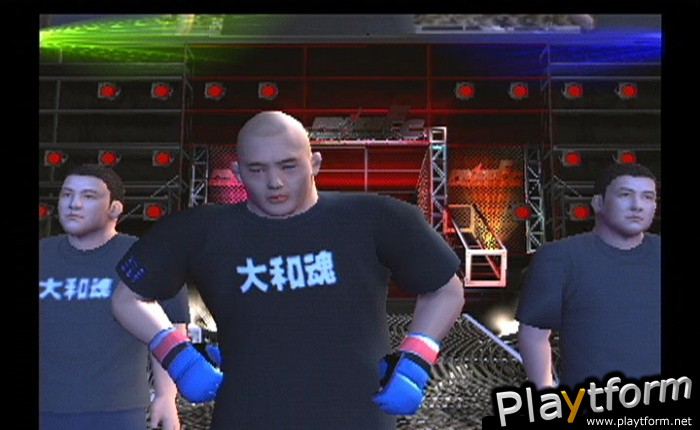 Pride FC (PlayStation 2)