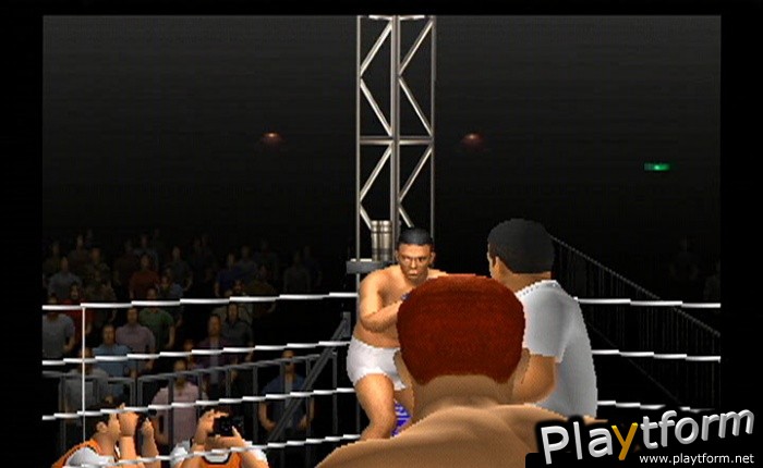 Pride FC (PlayStation 2)