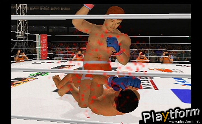 Pride FC (PlayStation 2)