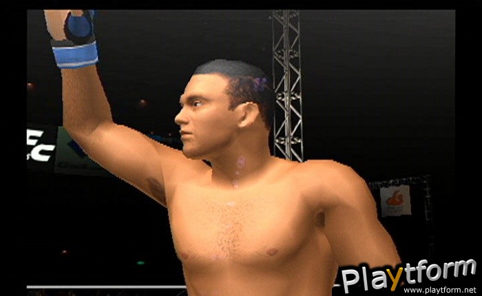 Pride FC (PlayStation 2)