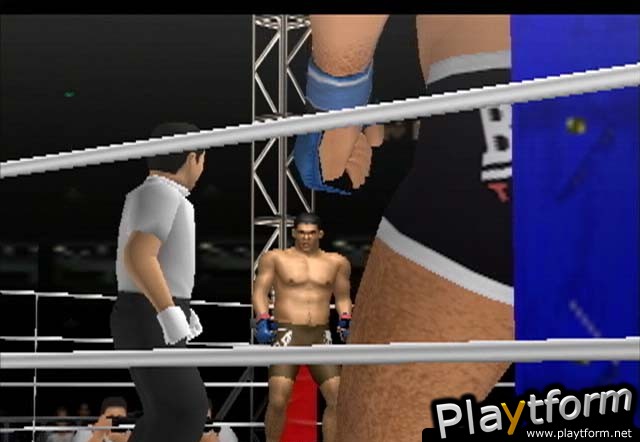 Pride FC (PlayStation 2)