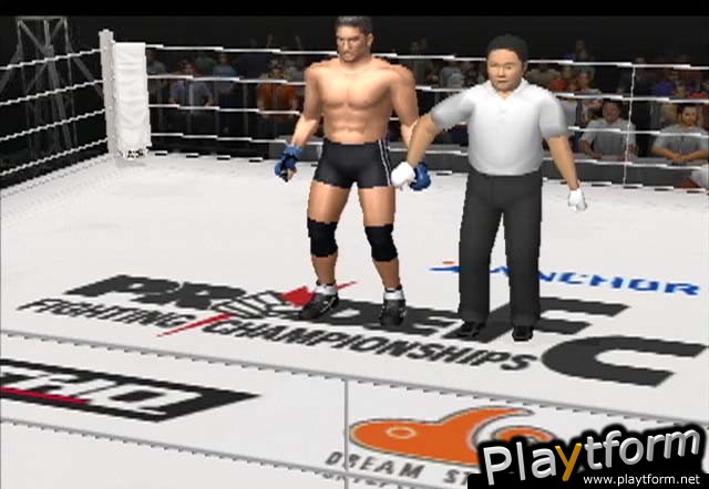 Pride FC (PlayStation 2)