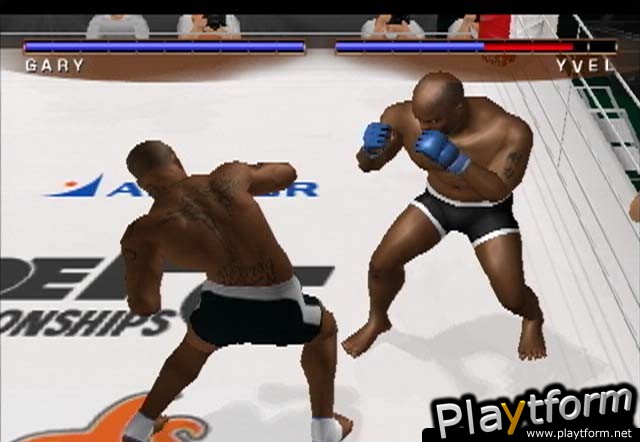 Pride FC (PlayStation 2)