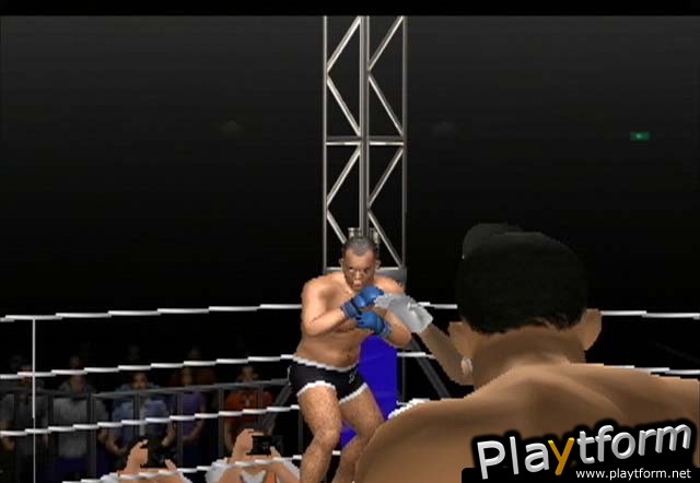 Pride FC (PlayStation 2)