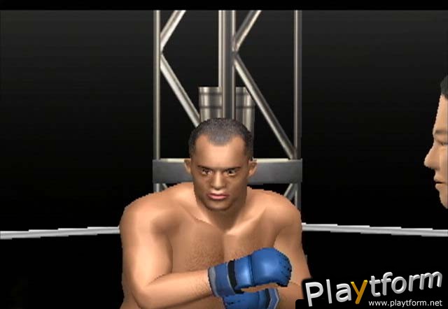 Pride FC (PlayStation 2)