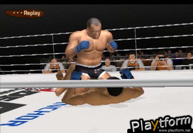 Pride FC (PlayStation 2)