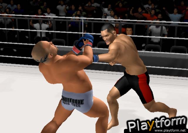 Pride FC (PlayStation 2)