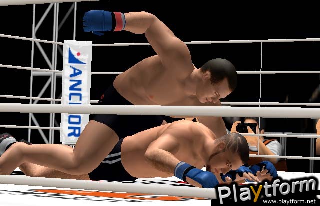 Pride FC (PlayStation 2)