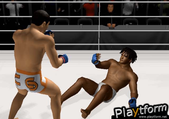 Pride FC (PlayStation 2)