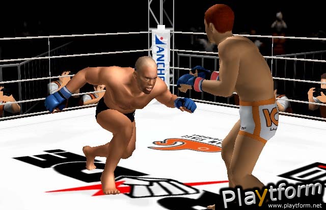 Pride FC (PlayStation 2)