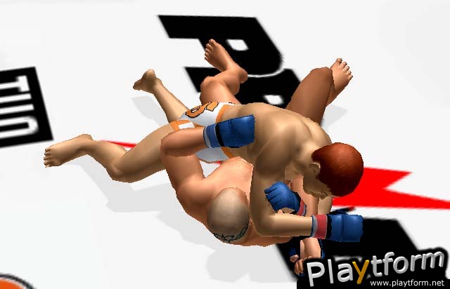 Pride FC (PlayStation 2)