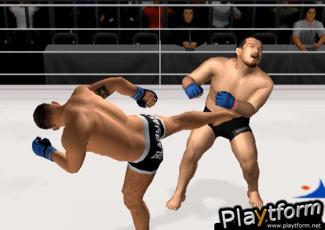 Pride FC (PlayStation 2)