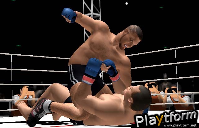 Pride FC (PlayStation 2)