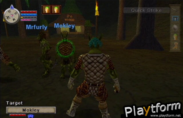 EverQuest Online Adventures (PlayStation 2)