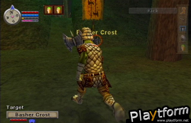 EverQuest Online Adventures (PlayStation 2)