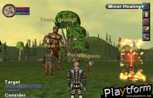 EverQuest Online Adventures (PlayStation 2)