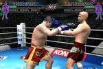 K-1 World Grand Prix (PlayStation 2)