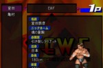 Fire ProWrestling Z (PlayStation 2)