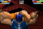 Ultimate Muscle: Legends vs. New Generation (GameCube)