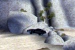 Knight Rider (PC)