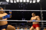 Pride FC (PlayStation 2)