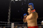 Pride FC (PlayStation 2)