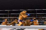 Pride FC (PlayStation 2)