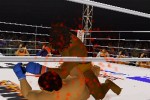 Pride FC (PlayStation 2)