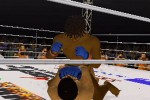 Pride FC (PlayStation 2)